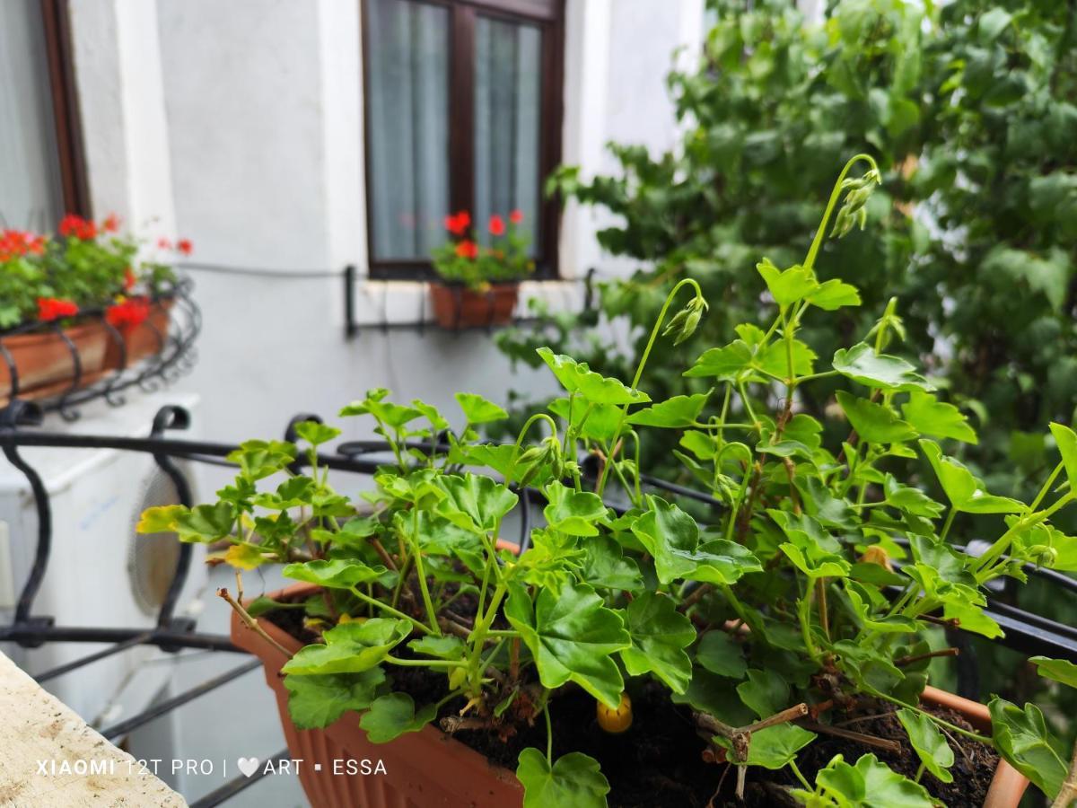 Apartament Buon Gusto,Near Main Square And Liar Bridge,Historical Side Of City Center Sibiu Eksteriør bilde
