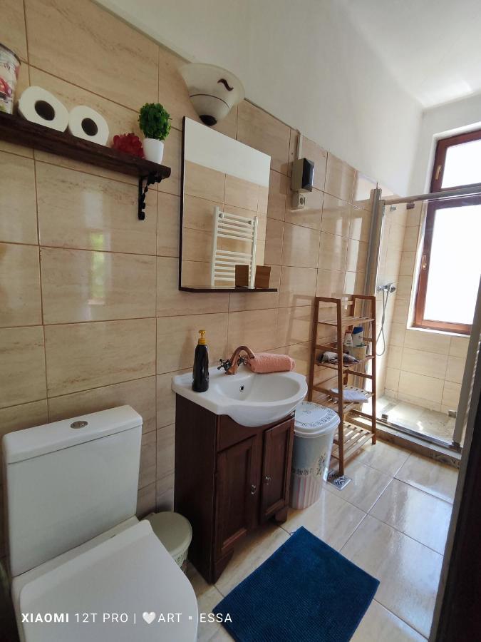 Apartament Buon Gusto,Near Main Square And Liar Bridge,Historical Side Of City Center Sibiu Eksteriør bilde